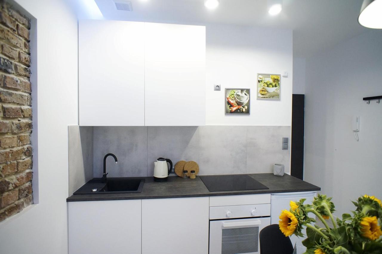 Modern Apartment In The City Center Катовице Экстерьер фото